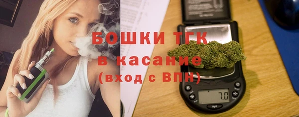 дурь Бородино