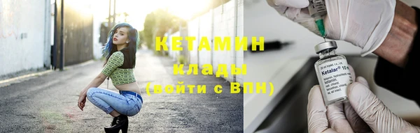 дурь Бородино