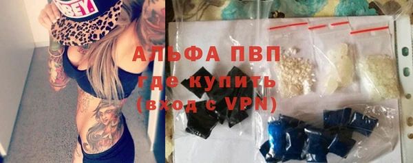 дурь Бородино
