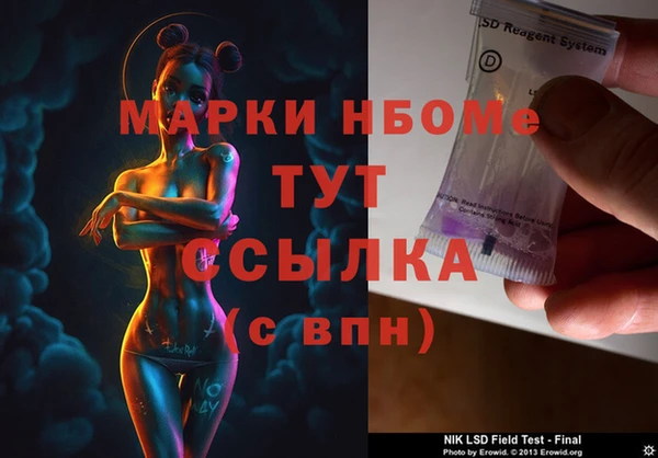 дурь Бородино